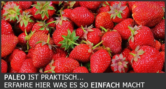 Paleo Diät in der Praxis – So geht’s